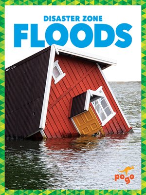 Floods - ebook